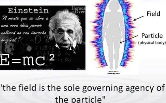 field-einstein